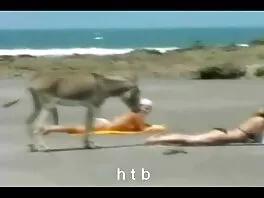 დიდი ძუძუები თინეიჯერი ბავშვი, ძუძუები
