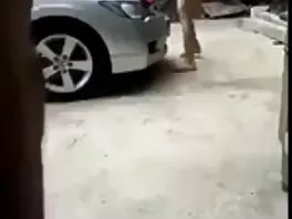 კოხტა გოგო ძუკნა გოგოში